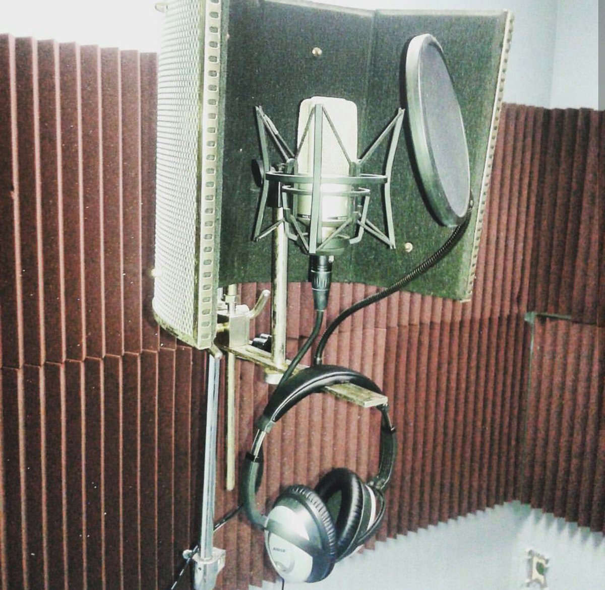 Twin_madent tweet media