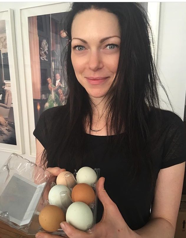 Hoje é aniversário da laura prepon mas  ela tá de parabéns todos os dias 
HAPPY BDAY LAURA PREPON 