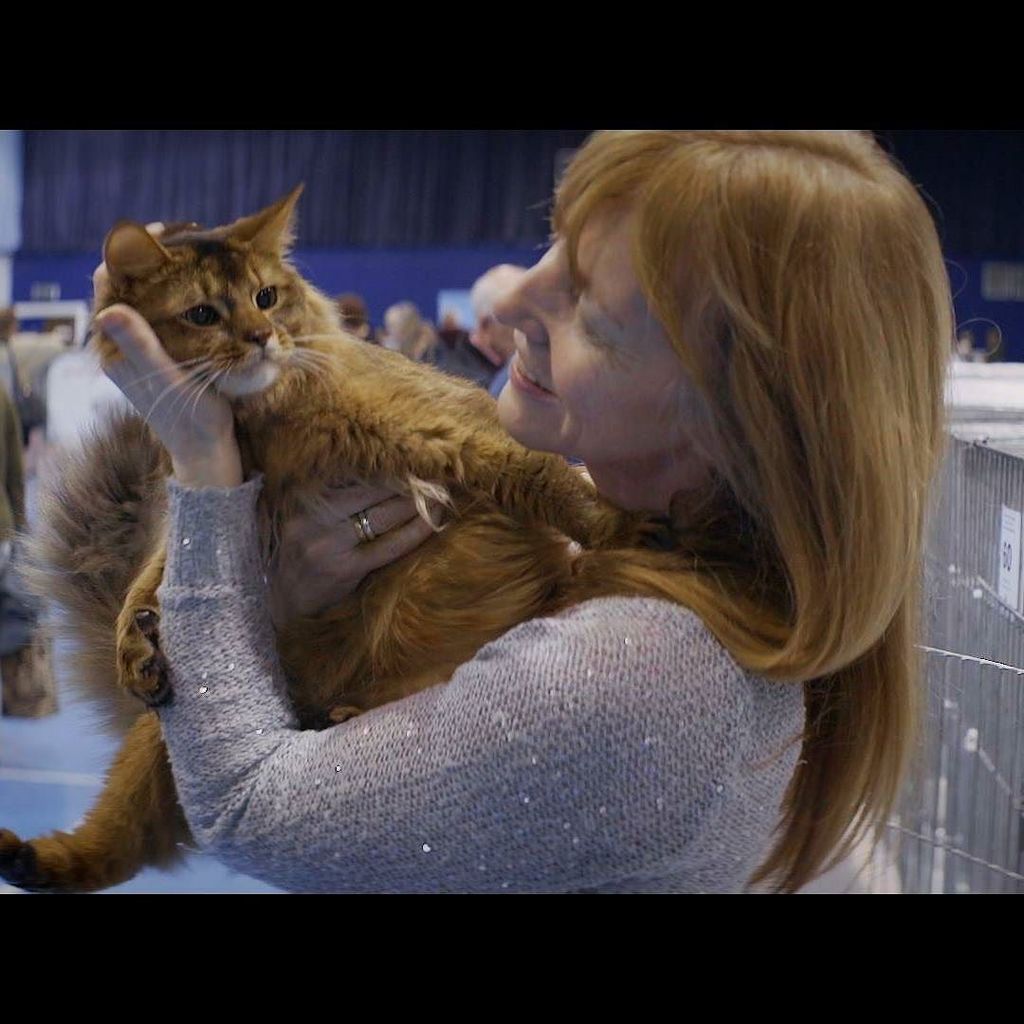 Brendan Buckingham tweet media