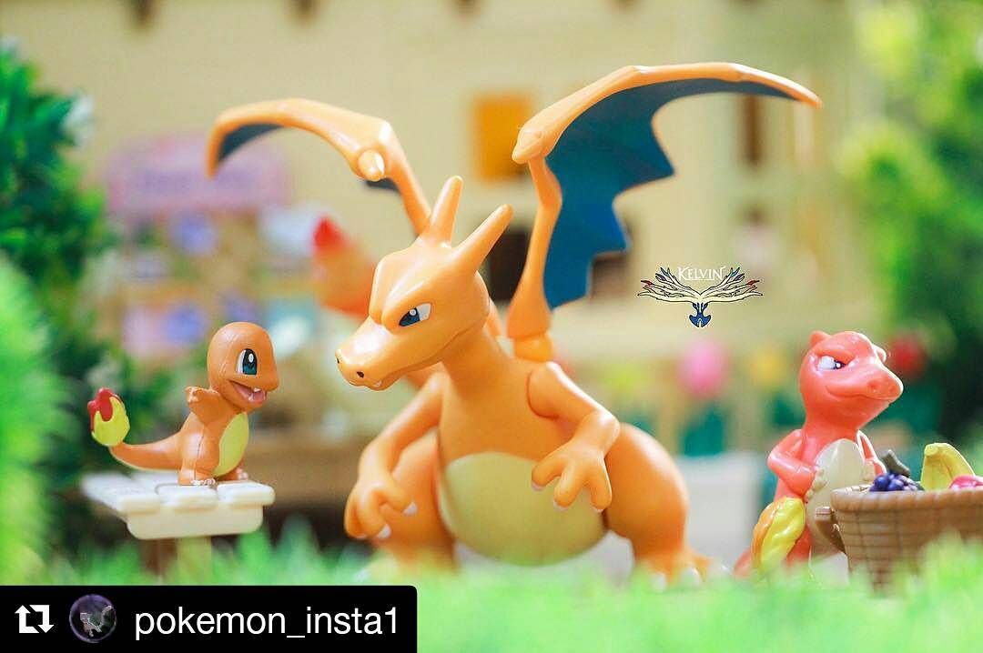 mbgamesstudio's tweet photo. Good morning 😍👍 Credit @pokemon_insta1 . #pokemonmaster #rowlet #pokemoncenter #pokemonsunandmoon #3DS #alola #amiib… https://t.co/aCBttiCxrd