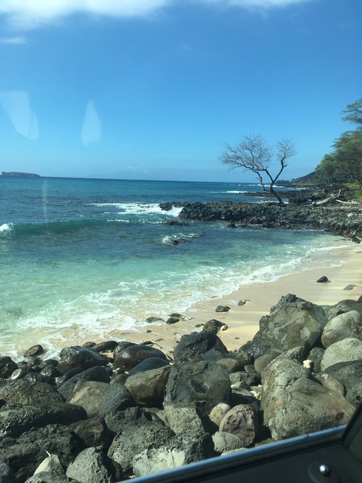 I've  been missing Hawaii lately https://t.co/RLWsFGuZ7t<a href="/tag/theforest"class="tags"><span>#theforest</span></a><a href="/tag/twitchaffiliate"class="tags"><span>#twitchaffiliate</span></a>