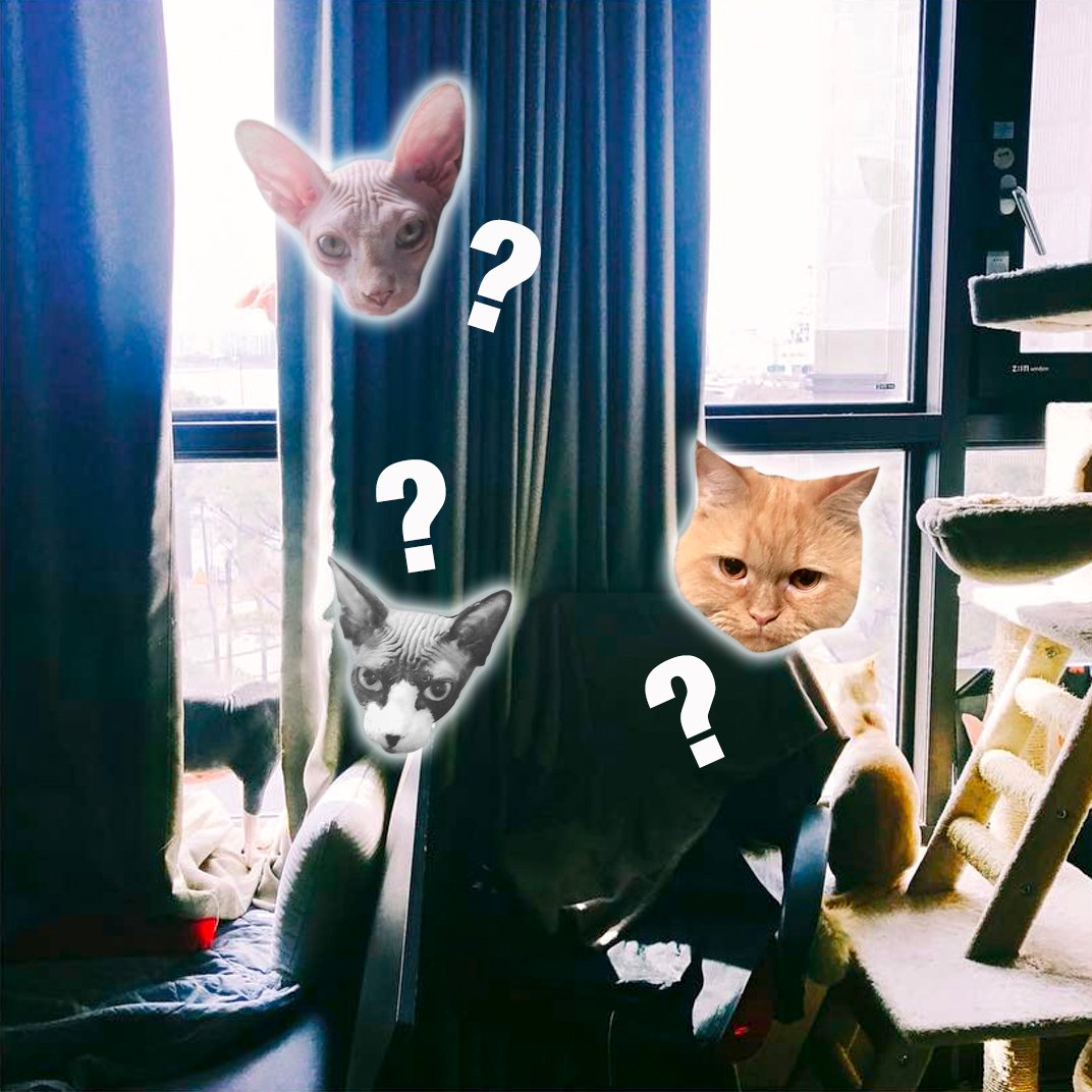 winnerxfun's tweet photo. ???
#KimRey #KimBei #SongJhonny https://t.co/c8tU11gMoR