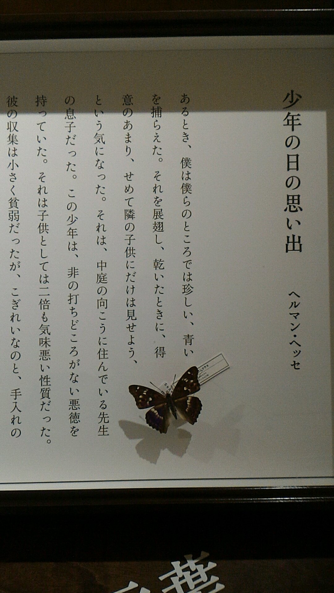 1120円 【入手困難本！】ーふじのくに地球環境史ミュージアム