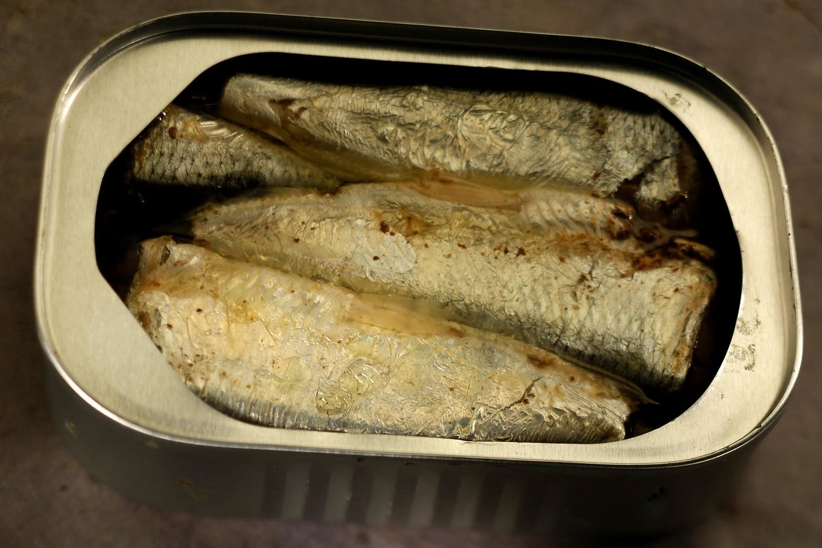 seafooddemand's tweet photo. our member are looking for Canned Sardine and Tuna in vegetable oil :
1) Canned Sardine : 425g 
2) Canned Tuna: 170g
https://t.co/Gm2tdyCuKc https://t.co/qoNG0pDtM5