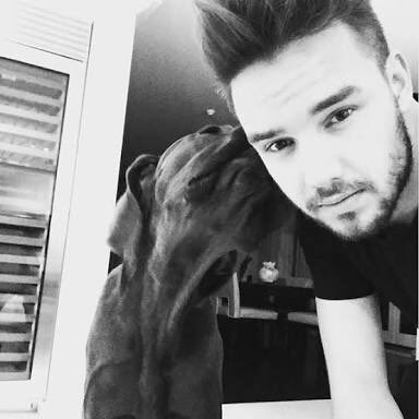 WorldNotes1D's tweet photo. Si Liam con perritos no los alienta a votar (porque vamos perdiendo) no sé que más lo hará!! #YouKnowYouLoveThem #OneDirection @radiodisney https://t.co/Myt4FNVPzS