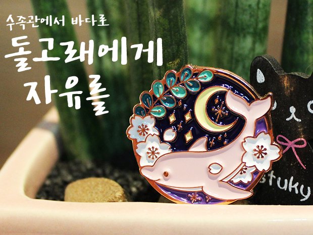 Adeliedraw's tweet photo. [돌고래에게 자유를] 텀블벅 오픈과 
1800팔로워 감사 이벤트! 알티추첨하여 돌고래 뱃지 2종과 
텀블벅에서 드리는 굿즈를 모두 보내드립니다. 
수익의 40%는 동물자유연대에 기부합니다.
https://t.co/QIPCAqxWHO https://t.co/kKRSXLfMEj