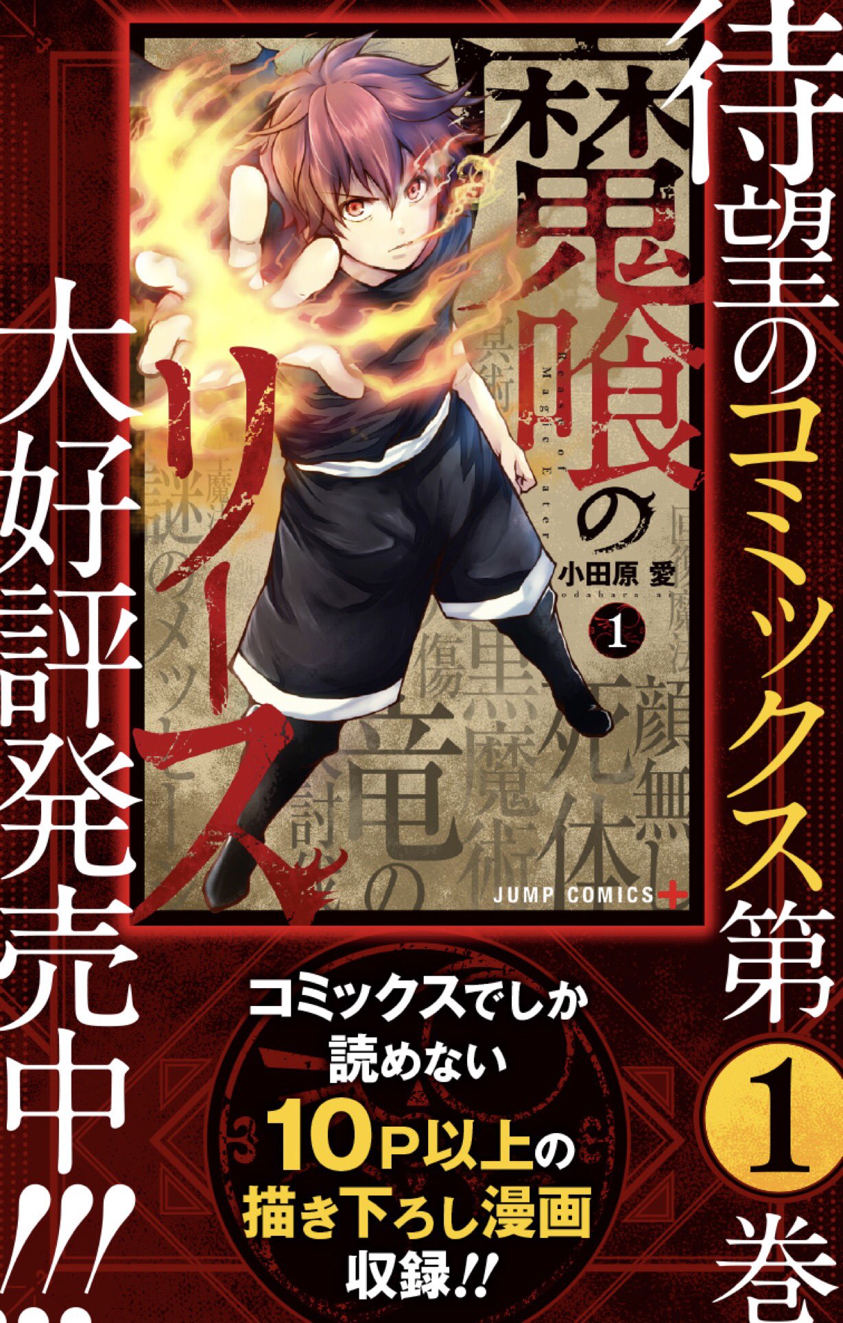 ハブブ ぴかぴか 原理 魔 喰 の リース 1 Hexatube Jp
