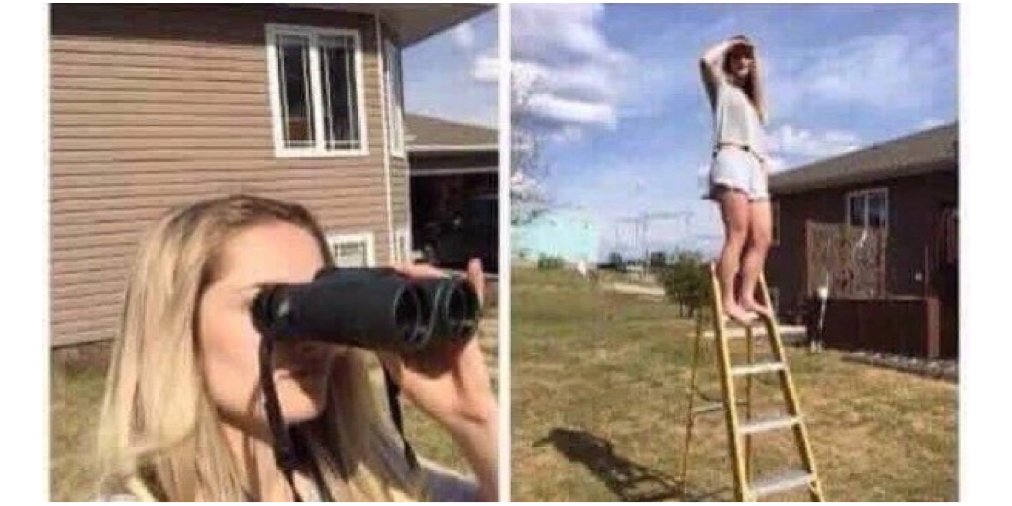 elcosodelapizza's tweet photo. Yo buscando mis ganas de volver al colegio/facultad https://t.co/uRiemNSFgD
