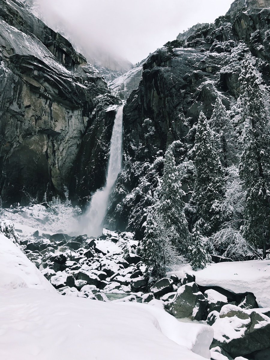 SStandardCo's tweet photo. Yosemite was incredible. https://t.co/BNY1h95oOc