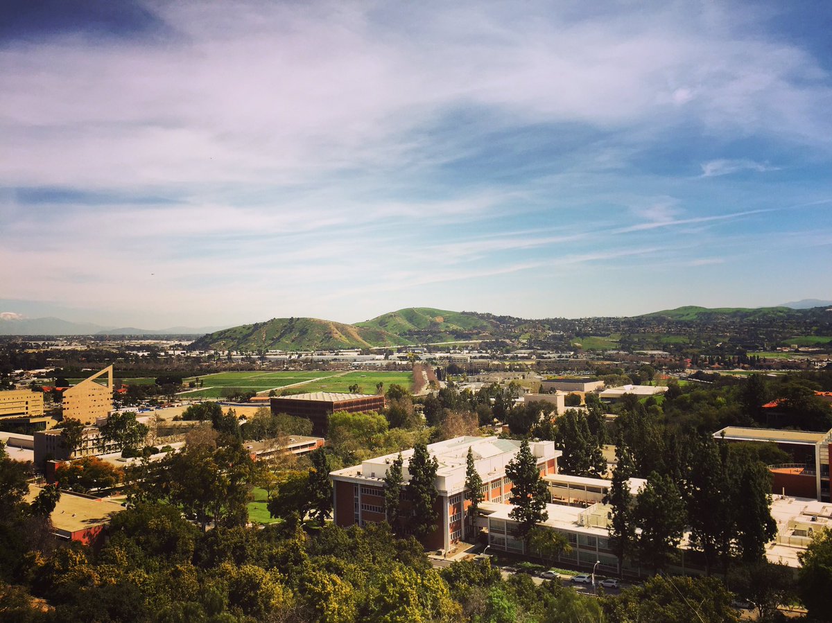 ActiveMindsCPP's tweet image. View from our hike to the CPP letters earlier today. :) #calpolypomona #activeminds #hiking