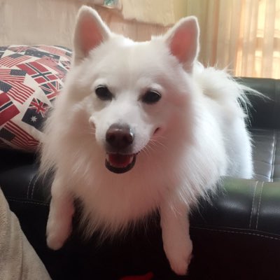 KaewmaneeAnne's tweet photo. #NewProfilePic https://t.co/iuASqplrKb