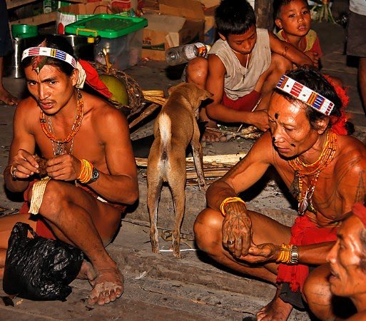 kasatmatadotcom's tweet photo. Pudarnya Peran Sikerei, Sang Dukun dari Mentawai https://t.co/ebpjD7Xbor https://t.co/L1gEh1smut