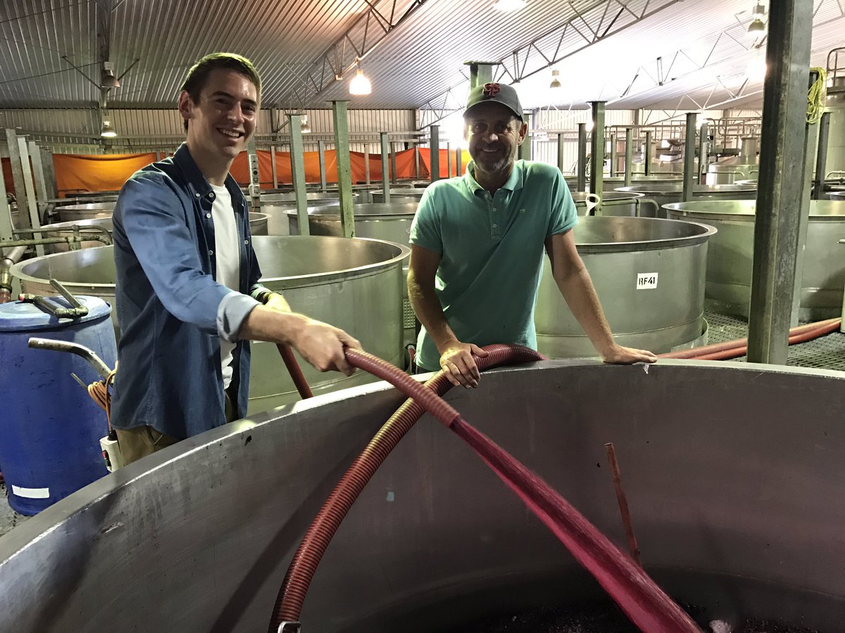 Having a crack at a pour-over. Don't tell any of my Barossa mates #mclarenvale <a href="/SCPannell/">S.C. Pannell Wines</a>