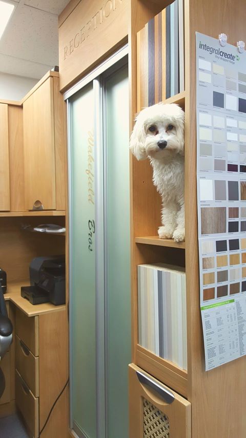 Wakefield_Bros's tweet photo. Just a quick update from this little addition Beau..

Wakefield Bros offer a FREE no obligation quote

01925 631590
info@wakefieldbros.co.uk https://t.co/oaIANOVavA