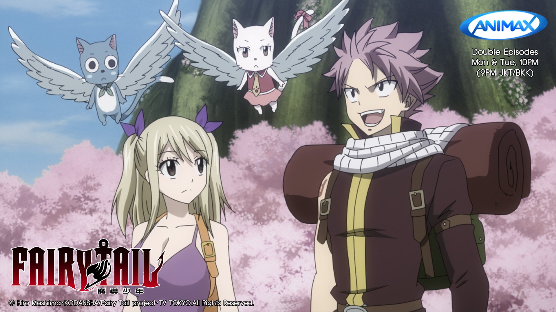 Animax Asia Tv Sur Twitter It S Fairy Tail Zero Tonight Follow Natsu And Happy On Their Journey To Tenrou Island In Search Of Their First Master S Grave T Co Ysi0lwmbdy Twitter