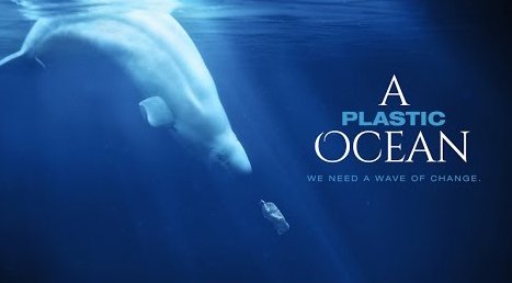 13/3. A Roma presentazione del film "A Plastic Ocean" sul progetto #PlasticBusters coordinato dalla prof.ssa Fossi.
bit.ly/2mi0oL0
