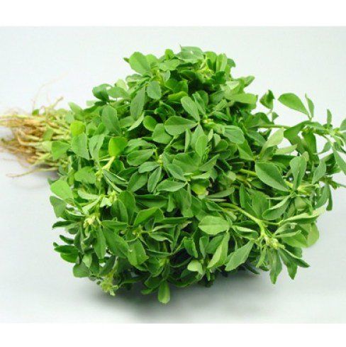 sbuyeronline's tweet photo. #SPINACHES @sbuyeronline
English: Fenugreek Leaves
Tamil: Vendaya keerai / Venthiya keerai
Hindi: Methi sag
https://t.co/eEFo5KEqSO https://t.co/HYCfdqK1hw