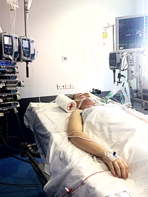 Prikaži sliku na Twitteru