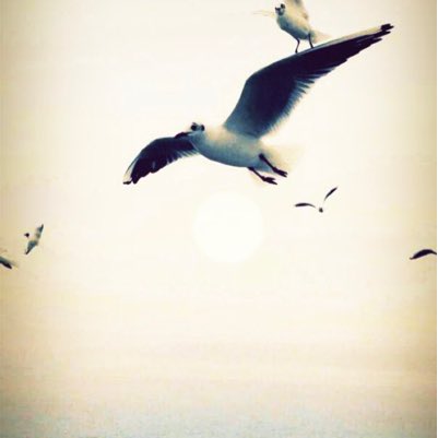 amon9658 tweet picture