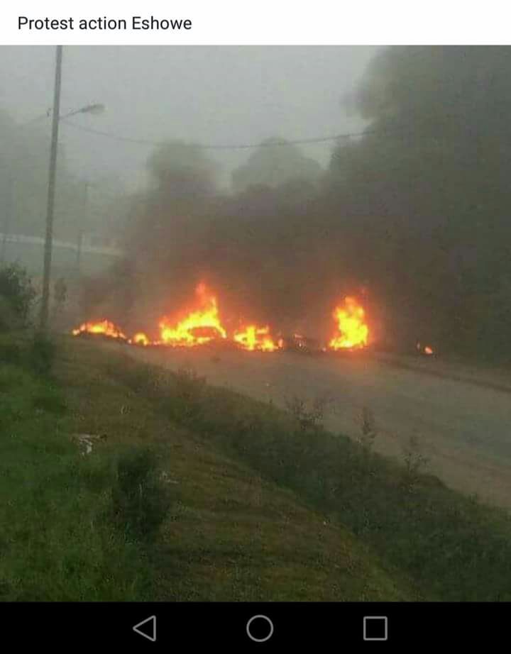 NinelaAndile's tweet photo. If coming to Eshowe be alert, situation is not good, they are destroying everything on the road. #eshowe https://t.co/Tp0aRsoCwJ