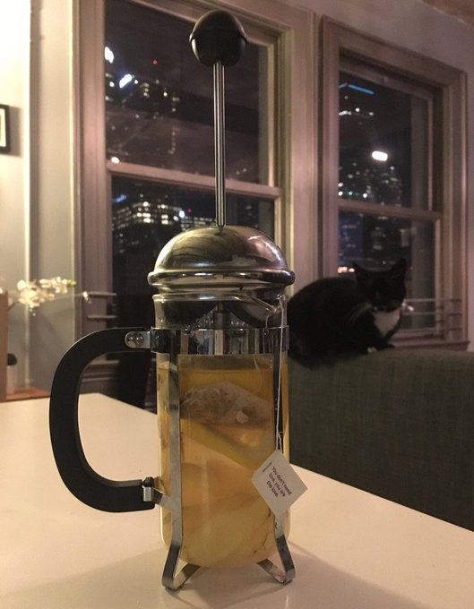 Guys I figured out how to put lemon & Ginger in my tea without pulp & seeds! https://t.co/wZ8YRwhjBq