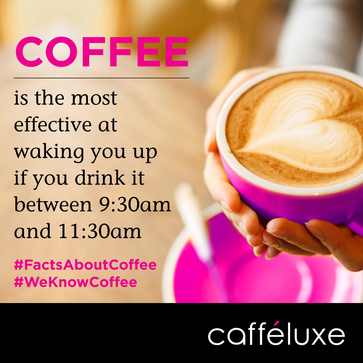 Here is a little insight for your midweek coffee tip. #WisdomWednesday #Caffeluxe #WeKnowCoffee