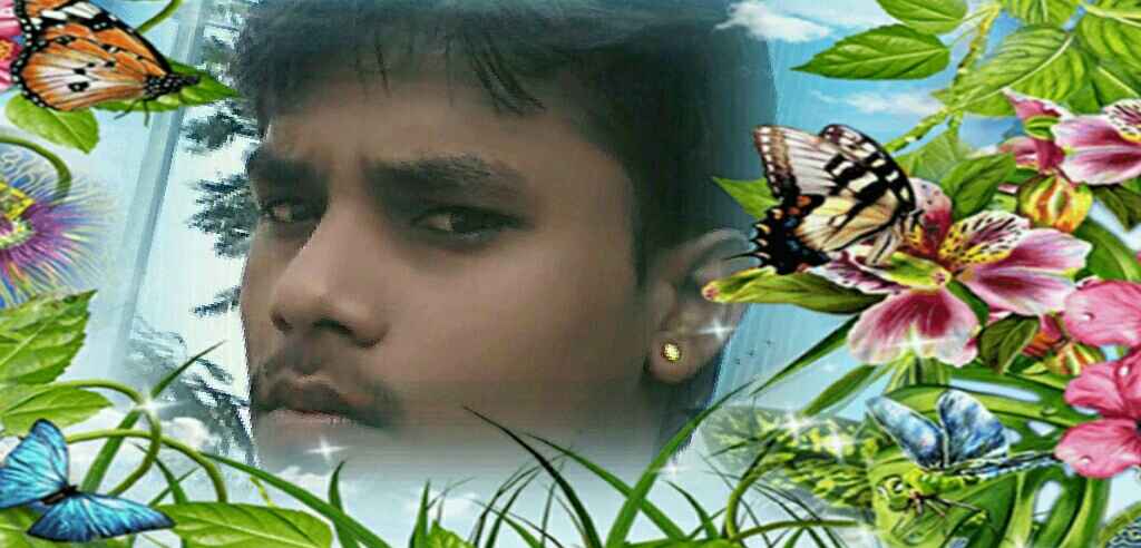 k s r tweet media