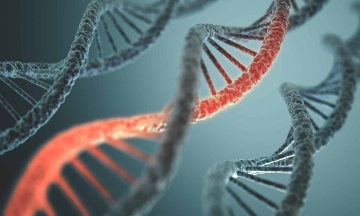 DNA mede bepalend voor zakelijk en persoonlijk succes buff.ly/2lg8CBW