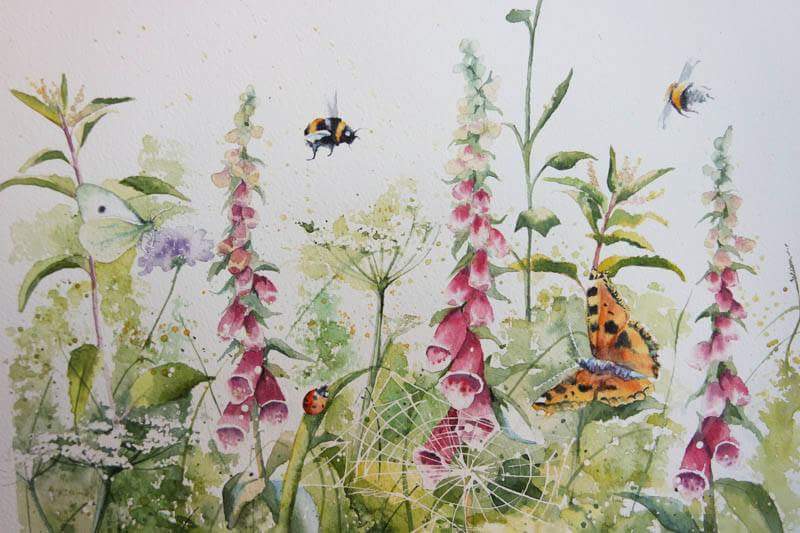 Rachel Toll tweet media