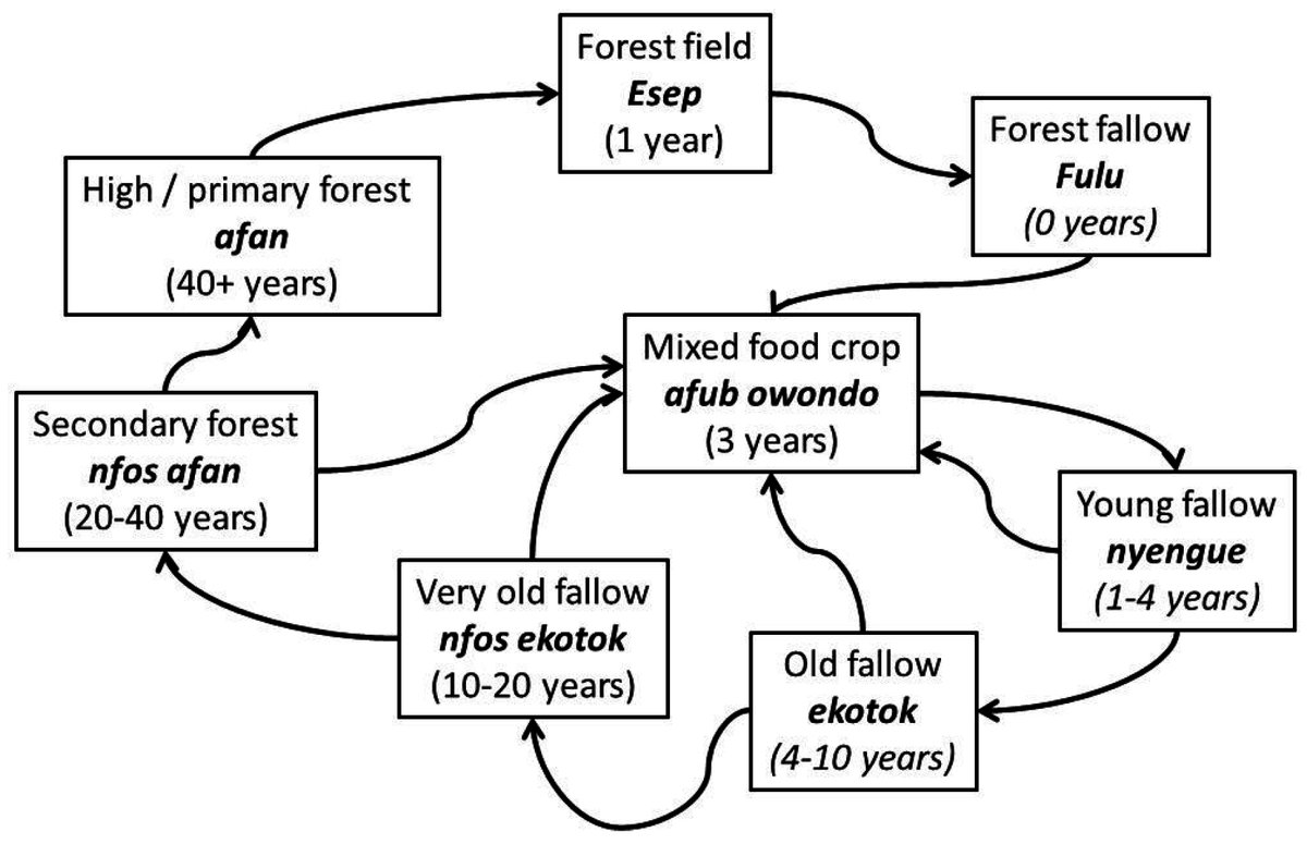 Forests_MDPI's tweet photo. #mdpiforests Costs of Lost opportunities: Applying #Non-Market Valuation Techniques to Potential https://t.co/TbycJCH7em  @UAlberta https://t.co/HO7jjXwyz8