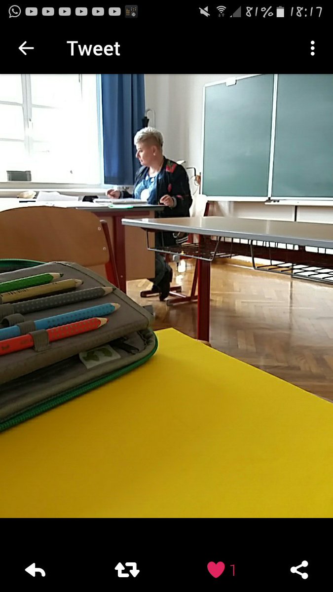 HallingerSamuel's tweet image. 