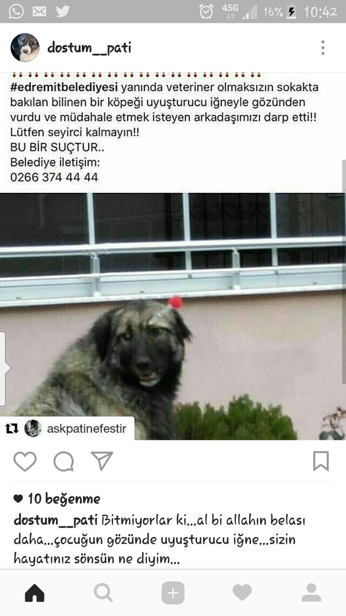 <a href="/KamilSaka/">Kamil SAKA</a> <a href="/EdremitBelediye/">Edremit Belediyesi</a> <a href="/VeyselEroglu/">Veysel Eroğlu</a>  Sayın Başkan bu zulümden haberiniz vardır, bu bir suçtur. Suçlular cezalandırılsın