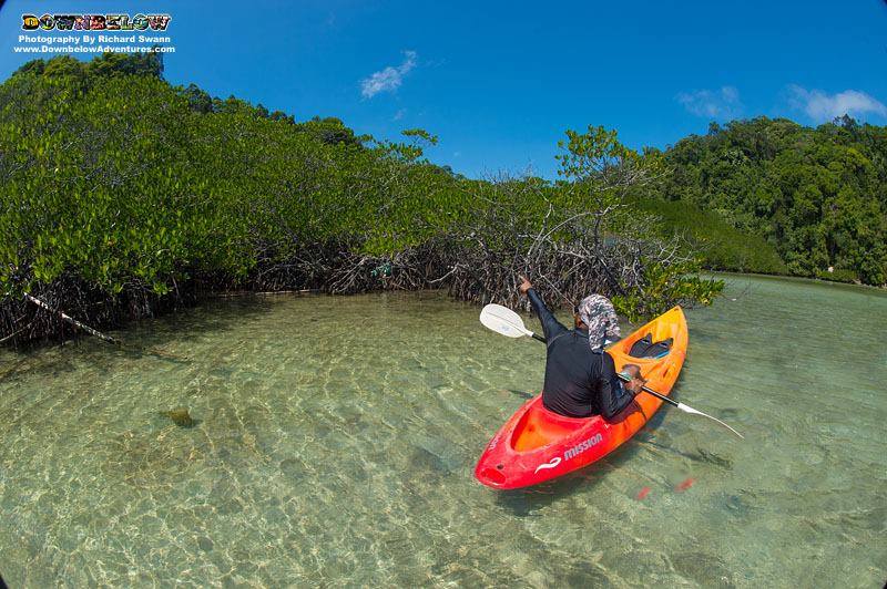 divedownbelow's tweet photo. #Kayak or #Snorkel around the #MangroveBay at #GayaIsland with our #MultiActivityDay https://t.co/M6rEA7ebMX https://t.co/ftpovvdUzZ