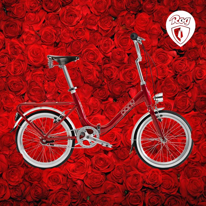 Drage žene, mame, babice, tete, prijateljice in vsa lepa dekleta na splošno - čestitke za #danzena! Vaš Pony 🚲. 🌹🌹🌹