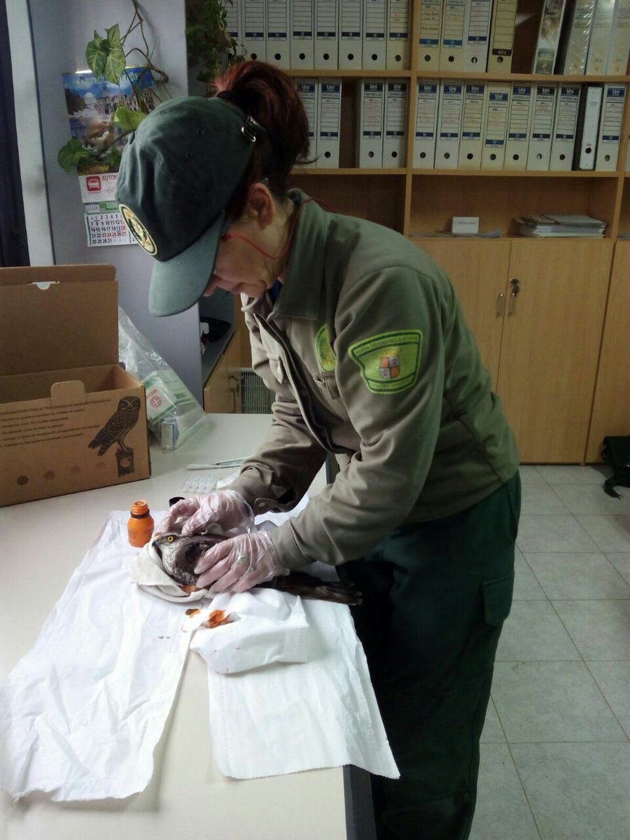 apamcyl's tweet image. Hasta1983, después de 100 años, no hubo una mujer #AgenteForestal #España
Nuestro homenaje hoy
#GraciasCompañeras
#DiaInternacionalDeLaMujer