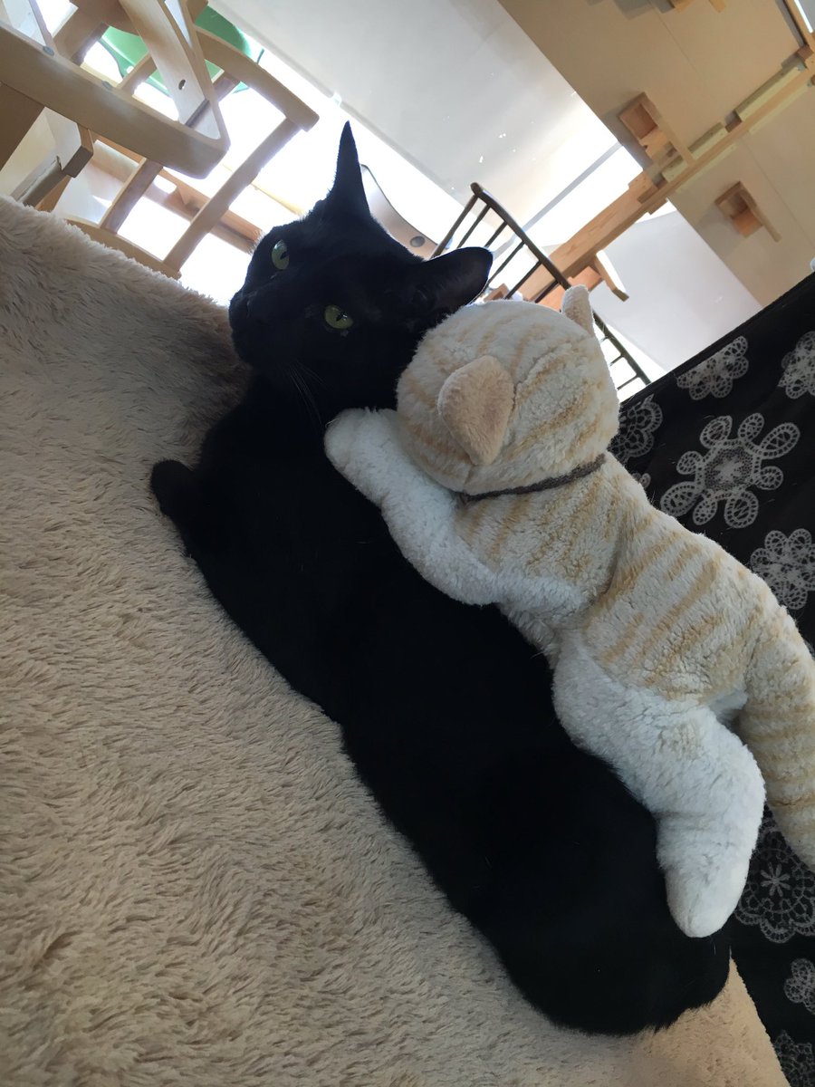chu_neco_'s tweet photo. 春から中央の方も、
春からも中央の方も
みんな集まれー

中大で唯一の動物系サークルです！
サークル部員募集中m(._.)m

【連絡先:chuneconyan@gmail.com】
#春から中央#春からも中央 https://t.co/2AXKjcwBqx