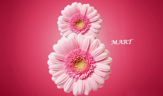BodrumTaksi's tweet photo. 8 Mart Dünya Kadınlar Gününü Kutlarız.
#8MartDünyaKadınlarıGünü
#8mart https://t.co/daxr1jRpwA