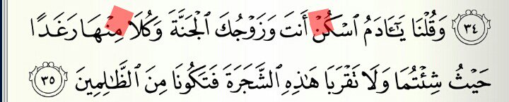 Contoh Bacaan Ikhfa Semua Huruf - Simak Gambar Berikut