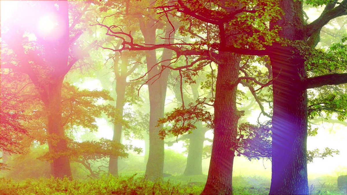 ZenMusics's tweet photo. .#30Minute #DeepRelaxing #BackgroundMusic, #Spa, #Yoga, #NatureSound, #Music For #PositiveEnergy Check Out👉https://t.co/HyPLkRGuFH https://t.co/NX06TyR9m1