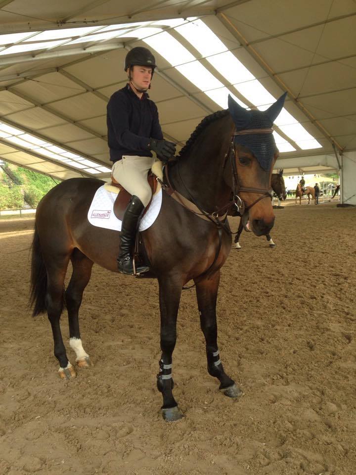 RoeSpencer's tweet photo. Hero and Gambler B jumped good clears in the 5 and 6 year old classes yesterday @Sunshinecadiz Gus just had an unfortunate 4 faults🙁 https://t.co/NDzXnMcuIO