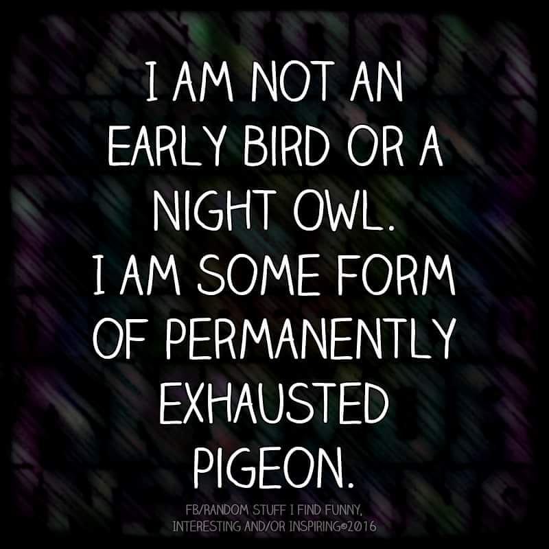bsparklyme's tweet photo. A very poorly toddler has kept me absent lately, here's to brighter days, and less sleepless nights... #tired #mum #mumprobs #toddler #love https://t.co/24zAqT3tDB