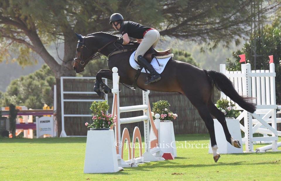 RoeSpencer's tweet photo. Hero and Gambler B jumped good clears in the 5 and 6 year old classes yesterday @Sunshinecadiz Gus just had an unfortunate 4 faults🙁 https://t.co/NDzXnMcuIO