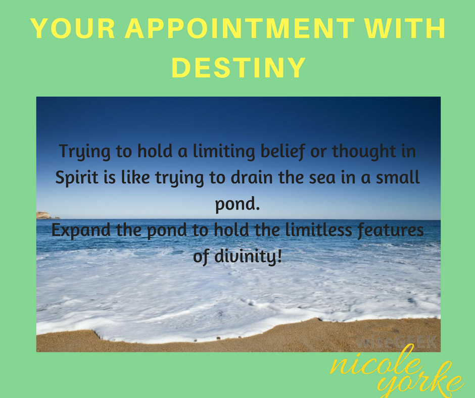 advocate_nicole's tweet photo. Empowering others to live beyond their current limits. #findinglimitless https://t.co/bvbu4Mewxl