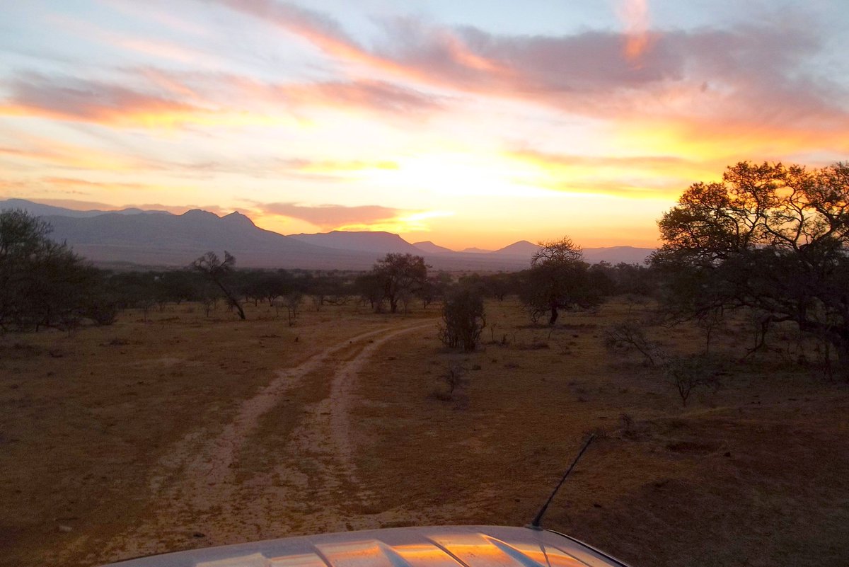 ShawneeRidgeHnt's tweet photo. Learn more about hog hunts, African safari's and more @ShawneeRidgeHnt at https://t.co/JGI0WM96mk https://t.co/F8pyPCCcyG