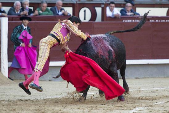 85_valdes's tweet photo. Jose Carlos venegas vuelve de nuevo a las ventas 4 junio con la corrida de cuadri  #verdad #templar #mandar #toreria  #siemprepalante https://t.co/CNoH0K1gVH