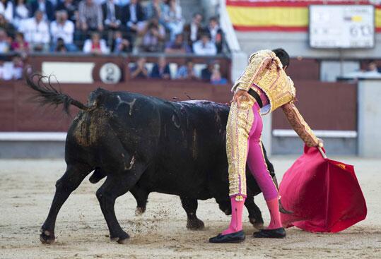 85_valdes's tweet photo. Jose Carlos venegas vuelve de nuevo a las ventas 4 junio con la corrida de cuadri  #verdad #templar #mandar #toreria  #siemprepalante https://t.co/CNoH0K1gVH