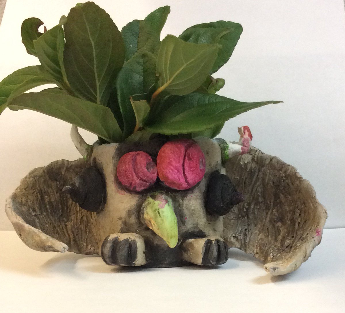 rhhampton12's tweet photo. Desk Monster Planters a HUGE success!  Thanks for supporting our students!! https://t.co/60nMr1kLSv