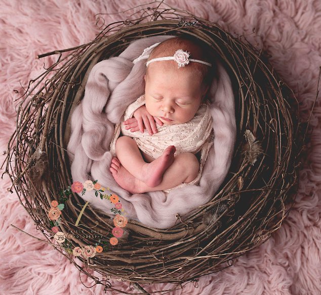 Victoria Lilly (@vl_photos) on Twitter photo 