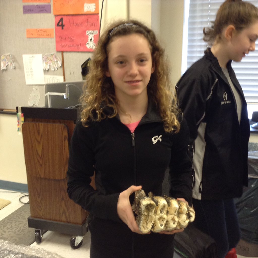 apshubert's tweet photo. Mrs. Trimble, mother of Lauren and educator from the State Museum, shared some great fossils and knowledge with us Tuesday! #paleontology https://t.co/FKPj0R0Uit