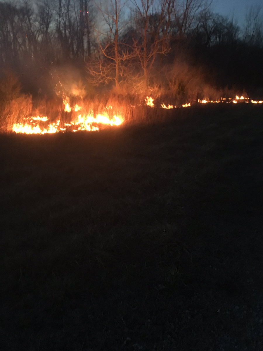 thedeerbarn's tweet photo. Here are some pictures of our prescribed burns we did this weekend. Preparing for some #ArrowSeed #wegrowbigracks #thedeerbarn https://t.co/Sw4oxX6YTz